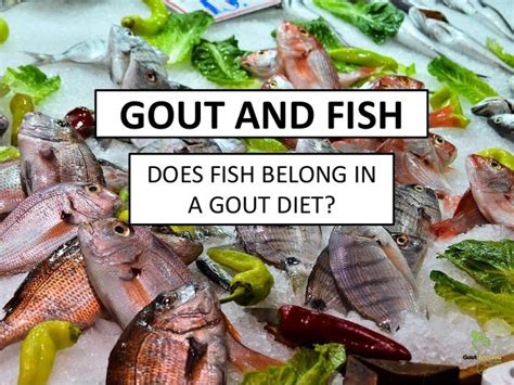 Fish And Gout .